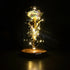 20 Led Lights Crystal Galaxy Rose in The Glass Dome Gift for Girlfriend - Beauty and The Beast Style Galaxy Rose Flower