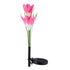 Decorative LED Solar Waterproof Modern Lamp In Shape Of Lily Flower For Garden Yard Lawn Courtyard Pathway