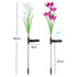 Decorative LED Solar Waterproof Modern Lamp In Shape Of Lily Flower For Garden Yard Lawn Courtyard Pathway