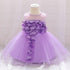 Luxury Modern Designer Toddler Baby Girl Infant Princess Lace Tutu Dress Baby Girl Wedding Dress Kids Party Dress