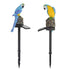 Decorative LED Garden Waterproof Yard Lamp In Shape Of Parrot Outdoor Resin Solar Lights For Pathway Doorway Lawn