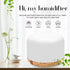 Air Humidifier Essential oil diffuser 300ML 500ML Ultrasonic Cool Mist Maker Fogger Humidifier LED Lamp Aroma Diffuser Electric  Aromatherapy Diffuser umidifier Aroma Essential Oil Diffuser with 4 Timers 2 Misting Modes Waterless Auto Off