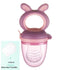 Baby Pacifier Fresh Food Kids Fruit Feeder Nipples Feeding Safe Baby Supplies Nipple Pacifier Holder