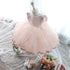 Luxury Modern Designer Baby Girls Flower Gowns Baptism Princess tutu Birthday Dress WIth Big Bow On Back