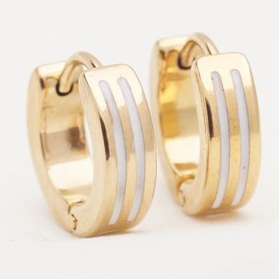 Many Different Styles Modern Fashion Geometric Luxury Stainless Steel Small Circle Hoop Earrings Elegant for Womens And Girls Punk Event Jewelry