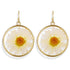 New Vintage Earrings And Geometric Shell Earrings For Women Resin Drop Earrings