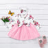 Baby Girl  Flower  Dress Pretty Bow  Outfits Long Sleeve Toddler Girl Unique Design Perfect Gift