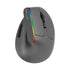 Black Wireless Ergonomic Mouse Vertical 1600 DPI Button Gaming Mouse RGB Optical USB Mice For PC And Laptop 2.4Ghz