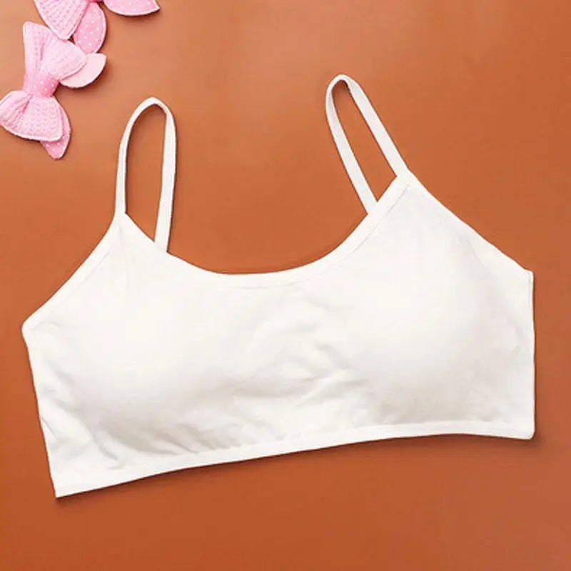 Comfortable Women's Sports Bra Push Up Running Bra Tops Girls Full Cup Seamless Underwear Training Bras Sport, Yoga, Gym, Sport Bras - ALLURELATION - 570, A B Cup Underwear Sexy Bra, attractive Bra, Backless Bra, Best Sale Bra, Best Selling Bra, Best Selling ladies Undergarments, Bra, Bra for Girls, Bra For Ladies, Bra for Women, Brassiere, Elegance Undergarments, Female Underwear, Hot sale Undergarments, Luxury Bra, Modern Body Fit Bra, Sports Bras For Women - Stevvex.com