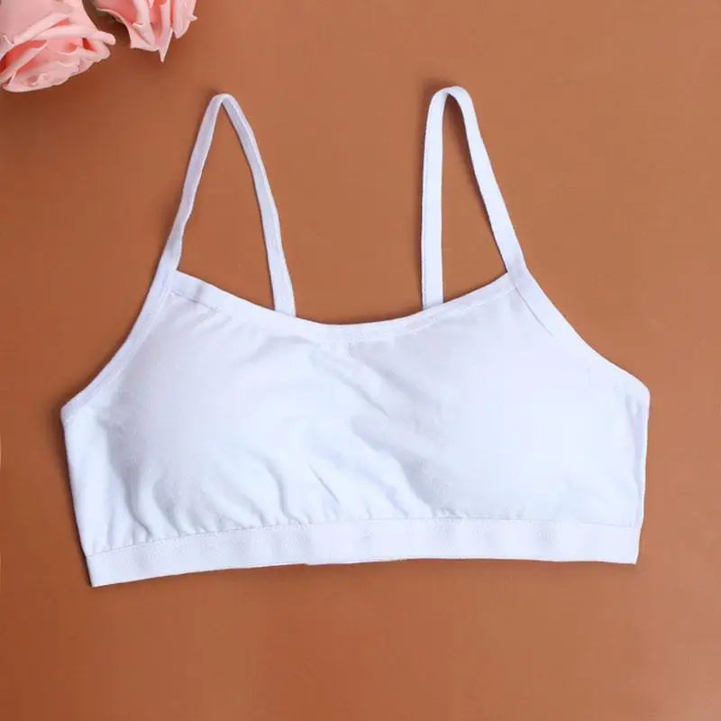 Comfortable Women's Sports Bra Push Up Running Bra Tops Girls Full Cup Seamless Underwear Training Bras Sport, Yoga, Gym, Sport Bras - ALLURELATION - 570, A B Cup Underwear Sexy Bra, attractive Bra, Backless Bra, Best Sale Bra, Best Selling Bra, Best Selling ladies Undergarments, Bra, Bra for Girls, Bra For Ladies, Bra for Women, Brassiere, Elegance Undergarments, Female Underwear, Hot sale Undergarments, Luxury Bra, Modern Body Fit Bra, Sports Bras For Women - Stevvex.com