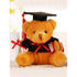 Cute And Charming 9cm Lovely Bear Plush Doll with Graduation Outfit Realistic Stuffed Baby Doll Teddy Plush Toy