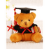 Cute And Charming 9cm Lovely Bear Plush Doll with Graduation Outfit Realistic Stuffed Baby Doll Teddy Plush Toy