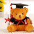 Cute And Charming 9cm Lovely Bear Plush Doll with Graduation Outfit Realistic Stuffed Baby Doll Teddy Plush Toy