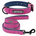 2021  Dogs Collars Personalized Padded Collar Leather Dog Walking Leash For Small Medium Large Dogs 2021 - Treko - 2021 trends, automatic leash, birthday gifts, casual leash, cat leash, color leash, cute cat leash, cute cate leash, cute dog leash, dogs birthday leash, fashion 2021, fashion leash, leash, leash 2021, leash for every dog, new trend 2021, nylon leash, stylish dog leash, trends 2021, trendy leash- Stevvex.com