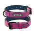 2021  Dogs Collars Personalized Padded Collar Leather Dog Walking Leash For Small Medium Large Dogs 2021 - Treko - 2021 trends, automatic leash, birthday gifts, casual leash, cat leash, color leash, cute cat leash, cute cate leash, cute dog leash, dogs birthday leash, fashion 2021, fashion leash, leash, leash 2021, leash for every dog, new trend 2021, nylon leash, stylish dog leash, trends 2021, trendy leash- Stevvex.com