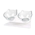 Double Transparent Non - slip Food Bowl With Protection For Cats Modern Kitten Food Bowl Pet Accessories - STIL6789TKBNC