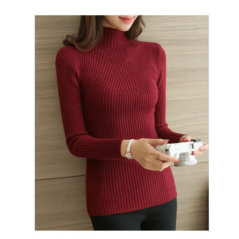 Elegance Solid White and Black Tops,Sweaters Winter Long Sleeve Turtleneck Pullovers Women’s Sweaters Female Clothing