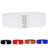 Elegant Wide Fabric Strap Silver Metal Buckle Belts For Women Trendy Women's Fashion Stretchable Classic Color Belts - STEVVEX Fashion - 702, belt, belts, belts for women, casual belt, charming belt, elastic belt, elegant belt, fashion belt, luxury belt, metal buckle belt, party belt, retro belt, silver metal buckle belt, stretchy belt, stylish belt, vintage belt, waistband, waistband for women, wide strap belt, women belt - Stevvex.com