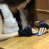 Fashion Fingerless Warm Wool Knitted Classic Fur Half One Size Finger Gloves For Women Cute Soft And Comfortable Trendy Fashion Stretchy Gloves For Women - STEVVEX Fashion - 717, autumn gloves, comfortable gloves, cute gloves, elegant gloves, Fingerless Gloves, fur gloves, glove, gloves for girls, gloves for winter, gray gloves, half finger gloves, knitted gloves, ladies gloves, red gloves, short mittens, soft gloves, soft mittens, warm gloves, winter, winter gloves, women gloves, wool gloves - Stevvex.com