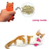 Funny Colorful Teeth Grinding Catnip Toys Cute Kitten Chewing Toy Stuffed Toys For Pets Soft Cat Toys - STEVVEX Pet - 727, cat toys, Catnip Toys, colorful cat toys, cute pet accessories, funny kitten toys, funny pet toys, funny toys for cats, fur cat toys, Kitten Chewing Toy, kitten toys, pet accessories, pet toys, stuffed toys for cats, stuffed toys for pets, teeth grinding cat toys, thumb bite cat toys, thumb bite pet toys, toys for cat, toys for pet - Stevvex.com