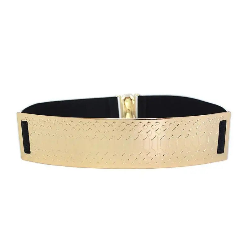 Luxurious Gold Wide Strap Elastic Belts For Women Elegant Metal Polished Plain Gold Belt Black Wide Strap Waistband for Women - STEVVEX Fashion - 702, belt, belts, belts for women, black belt, classic belt, classy belt, elastic belt, elegant belt, fashion belt, golden belt, ladies belt, luxury belt, metal belt, party belt, retro belt, trendy belt, unique belt, unique design belt, vintage belt, wide metal belt, women belts - Stevvex.com