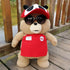 Luxury Modern Super Cute 8 styles Movie Teddy Bear Plush Toys Ted In Apron Soft Stuffed Animals Plush 45cm A birthday