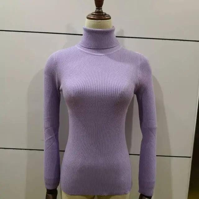 New Elegance Autumn/Winter Knitted Jumper Tops Turtleneck Pullovers Casual Sweaters Women Shirt Long Sleeve Tight