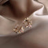 New Exquisite Design Copper Color Zircon Flower Leaf Garland Women Earrings For Women And Girls - Fashionable Jewelry