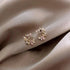 New Exquisite Design Copper Color Zircon Flower Leaf Garland Women Earrings For Women And Girls - Fashionable Jewelry