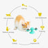 Rotatable Funny Massage Cat Toys Windmill LED Ball Teeth Cleaning Toys For Pets Interactive Turntable Tease Cat Toys - STEVVEX Pet - 727, cat toys, cat windmill toy, cute cat toys, funny cat toys, funny toys for cat, kitten toys, LED ball toy for cats, pet accessories, Pet Products, pet toys, rotatable cat toys, rotatable toys for cat, Scratching Tickle Kitten Toys, Tease Cat Toys, teeth cleaning toys for cat, toys for cat, toys for pet, Turntable cat toys - Stevvex.com