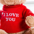 Soft And Cute Teddy Bear Stuffed Animals Plush Toy I Love You Teddy Bear with Removable T - Shirt Gift for Kids 11’