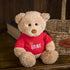 Soft And Cute Teddy Bear Stuffed Animals Plush Toy I Love You Teddy Bear with Removable T - Shirt Gift for Kids 11’