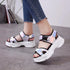 Sport Womens Colorful Sandals Cool Beach Fashion High Comfortable Stylish Women Sandals - ALLURELATION - 502, Beach Sandals, Colorful Sandals, Comfort Sandals, Elegant Sandals, Exclusive Womens Sandals, Mesh Sandals, Modern Sandals, Sandals, Sport Sandals, Sport Women Sandals, Stylish Sandals, Summer Sandals, Women Sandals, Womens Sandals, Womens Shoes - Stevvex.com