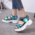 Sport Womens Colorful Sandals Cool Beach Fashion High Comfortable Stylish Women Sandals - ALLURELATION - 502, Beach Sandals, Colorful Sandals, Comfort Sandals, Elegant Sandals, Exclusive Womens Sandals, Mesh Sandals, Modern Sandals, Sandals, Sport Sandals, Sport Women Sandals, Stylish Sandals, Summer Sandals, Women Sandals, Womens Sandals, Womens Shoes - Stevvex.com