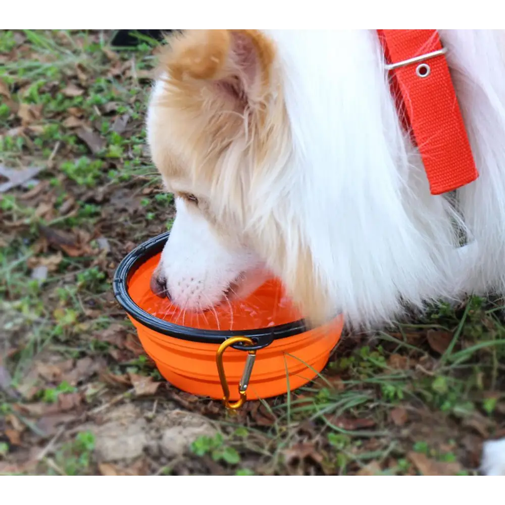 Universal Colorful Collapsible Silicone Dog Food Water Bowl Foldable Cup Dish For Pet Portable Travel Bowl For Dog