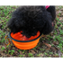 Universal Colorful Collapsible Silicone Dog Food Water Bowl Foldable Cup Dish For Pet Portable Travel Bowl For Dog