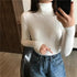 Vintage Style Autumn Winter Thick Sweater For Women Knitted Ribbed Pullover Sweater Long Sleeve Turtleneck Slim Jumper