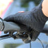 Warm Winter Touch Screen Gloves For Men Women Classic Stylish Colors Windproof Unisex Gloves - STEVVEX Fashion - 717, anti slip gloves, autumn gloves, classic gloves, cycling gloves, fashion gloves, gloves, gloves for winter, luxury gloves, outdoor gloves, snow gloves, sports gloves, touch screen gloves, unisex gloves, warm gloves, waterproof gloves, windproof gloves, winter gloves - Stevvex.com