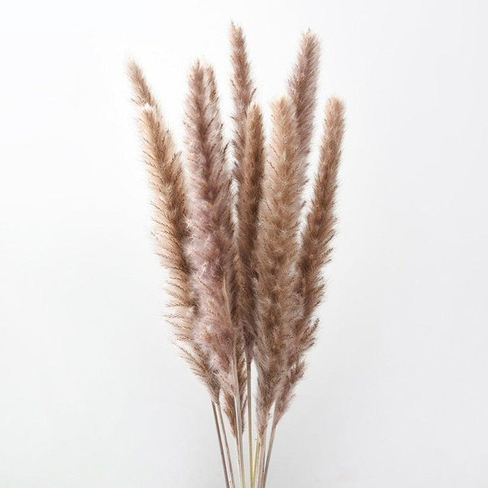 10PCS Bulrush Natural Dried Flowers Artificial Pampas Grass Decor Phragmites Fake Flower Wedding Home Decoration Floor Vase Filler for Living Room Kitchen Decor