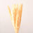 10PCS Bulrush Natural Dried Flowers Artificial Pampas Grass Decor Phragmites Fake Flower Wedding Home Decoration Floor Vase Filler for Living Room Kitchen Decor