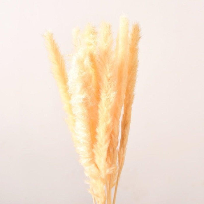 10PCS Bulrush Natural Dried Flowers Artificial Pampas Grass Decor Phragmites Fake Flower Wedding Home Decoration Floor Vase Filler for Living Room Kitchen Decor