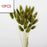 10PCS Bulrush Natural Dried Flowers Artificial Pampas Grass Decor Phragmites Fake Flower Wedding Home Decoration Floor Vase Filler for Living Room Kitchen Decor