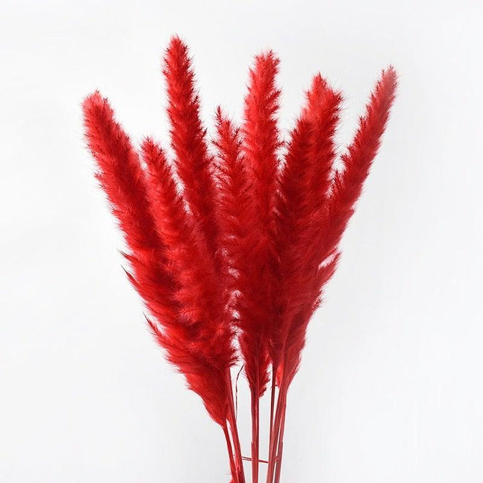 10PCS Bulrush Natural Dried Flowers Artificial Pampas Grass Decor Phragmites Fake Flower Wedding Home Decoration Floor Vase Filler for Living Room Kitchen Decor