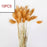 10PCS Bulrush Natural Dried Flowers Artificial Pampas Grass Decor Phragmites Fake Flower Wedding Home Decoration Floor Vase Filler for Living Room Kitchen Decor