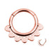 1PC Double Layers Steel Clicker Segment Nose Hoop Rings Hinged Ear Nose Septum Piercing Women Men Nose Tiny Helix Cartilage Tragus Ring Body Jewelry Fake Crystal Nose Piercing Body Jewelry Floral Nose Hoop Nostril Nose Ring