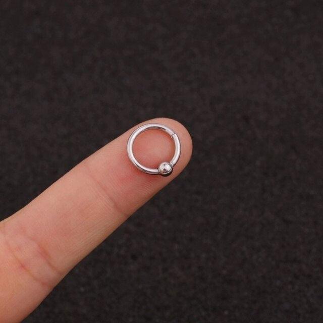 1PC Hoop Cartilage Earring Helix Tragus Conch Rook Snug Helix Tragus Ear Piercing Jewelry Stainless-Steel Piercing-Ring Hinged Nose-Rings-Hoop Body Stainless Steel Septum Piercing Jewelry Helix Tragus Ring Segment Clicker Lip Rings Cartilage Rook Earrings