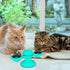 2 PCS Set Interactive Cat Toy Windmill Portable Scratch Hair Brush Grooming Shedding Massage Suction Cup Catnip Cats Puzzle Training Toy Portable Turntable Rotating Cat Toy Scratching Tickle Hair Brush