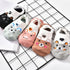 5 Pairs Cute Animal Spring Women Cotton Boat Socks Set Korean Style Funny Cat Dog Panda Low Cut Ankle Short Socks - ALLURELATION - 3D socks, 500, adult socks, animal socks, anime socks, ankle socks, boat socks, breathable socks, cartoon socks, casual socks, cat socks, colorful socks, cotton socks, cute socks, funny socks, girls socks, korean socks, low cut socks, panda socks, short socks, socks for women, womens socks - Stevvex.com