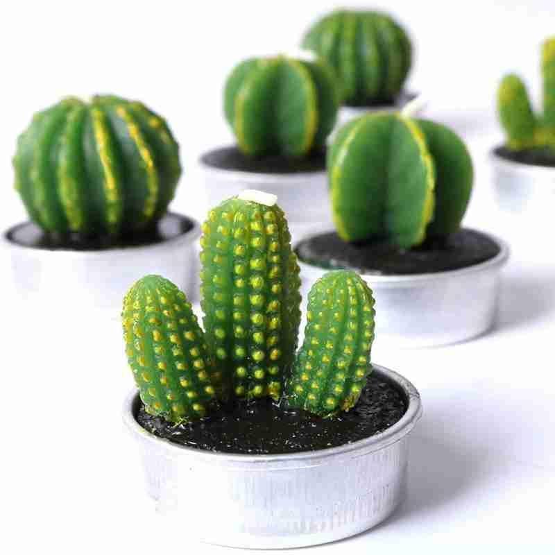 6Pcs Cactus Candle Cube Candle Simulated Plant Set Paraffin Scented 3D Candle Delicate Succulent Cactus Candles for Valentine's Day Birthday Party Wedding Spa Home Decoration Gifts Home Candle Tea Light Background Props Decor