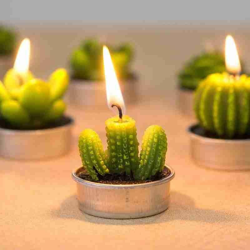 6Pcs Cactus Candle Cube Candle Simulated Plant Set Paraffin Scented 3D Candle Delicate Succulent Cactus Candles for Valentine's Day Birthday Party Wedding Spa Home Decoration Gifts Home Candle Tea Light Background Props Decor